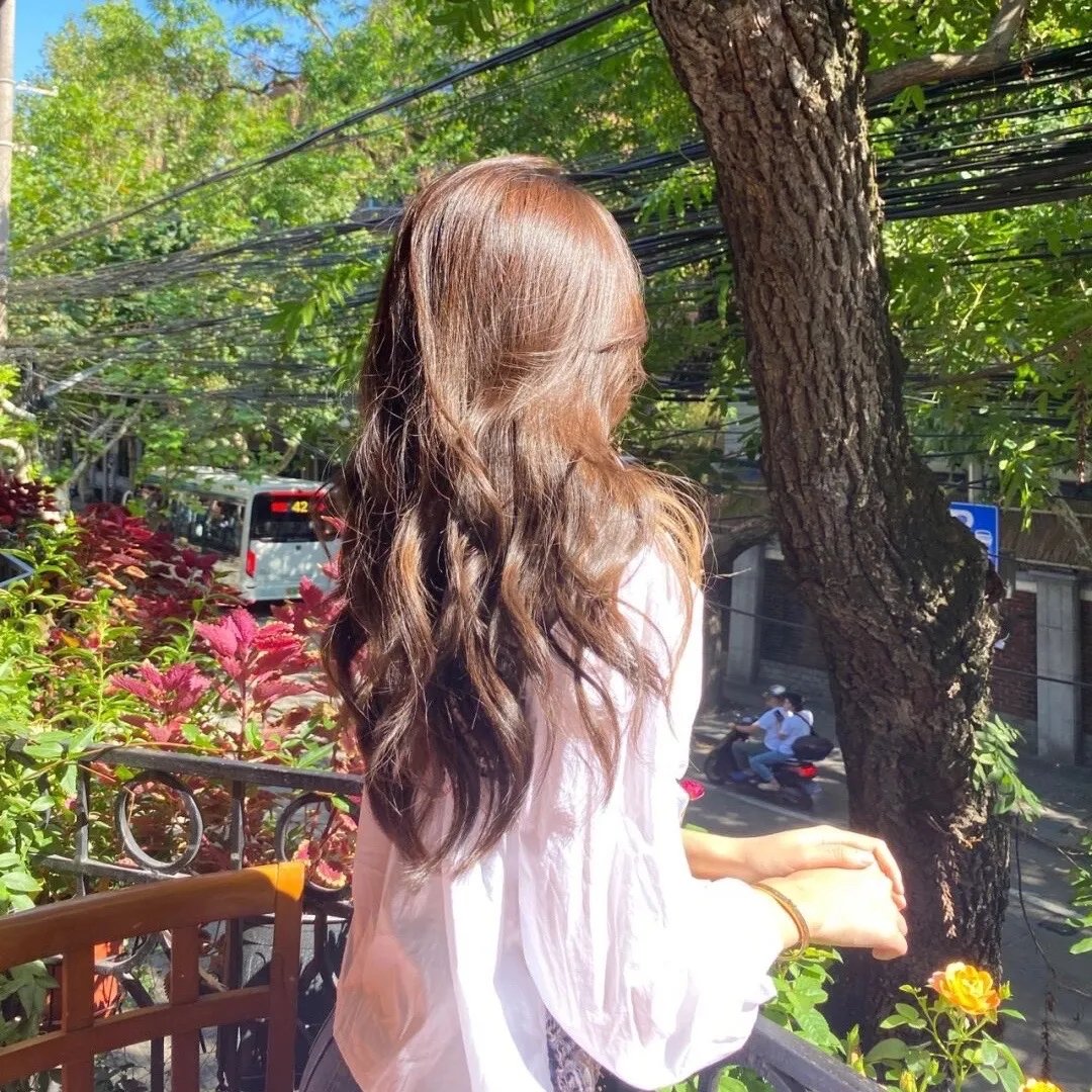 雏燕鸣春